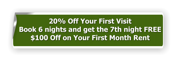 20% Off Your First Visit Book 6 nights and get the 7th night FREE $100 Off on Your First Month Rent