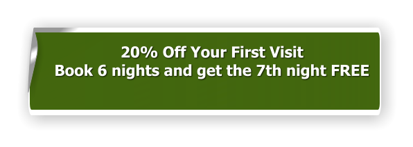 20% Off Your First Visit Book 6 nights and get the 7th night FREE