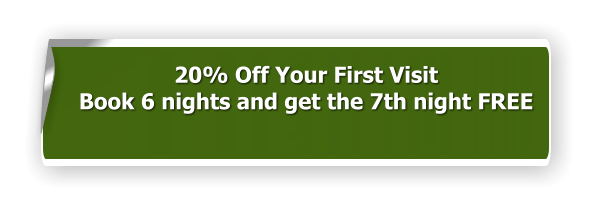 20% Off Your First Visit Book 6 nights and get the 7th night FREE